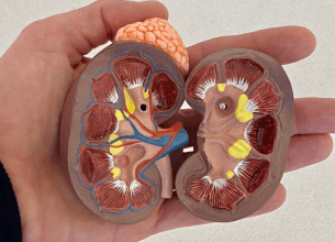 Family medical history