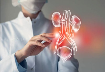 What Is Urology?