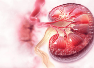 Hypertension and Renal Vascular Disorders: Optimizing 
                Blood Pressure Control